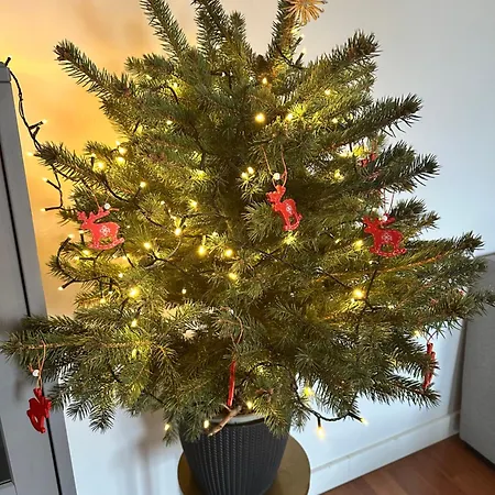Apartament Sopot *
